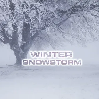 Winter Snowstorm by White Noise Sound FX