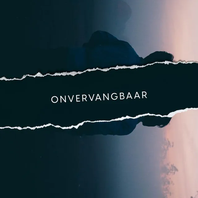 Onvervangbaar