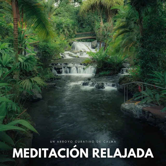 Flujo Meditativo Del Arroyo