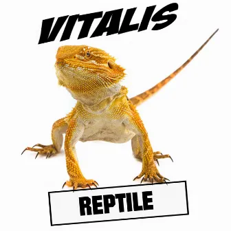 Reptile by Vitalis