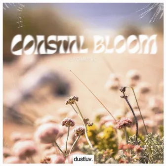 Coastal Bloom by JkoMusic