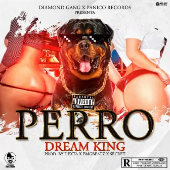 Perro by Dream King