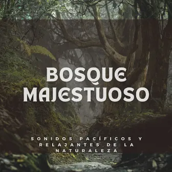 Bosque Majestuoso: Sonidos Pacíficos y Relajantes de la Naturaleza by Koshi Chimes Relájate