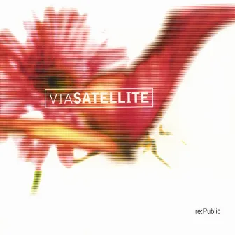 re:Public by Via Satellite