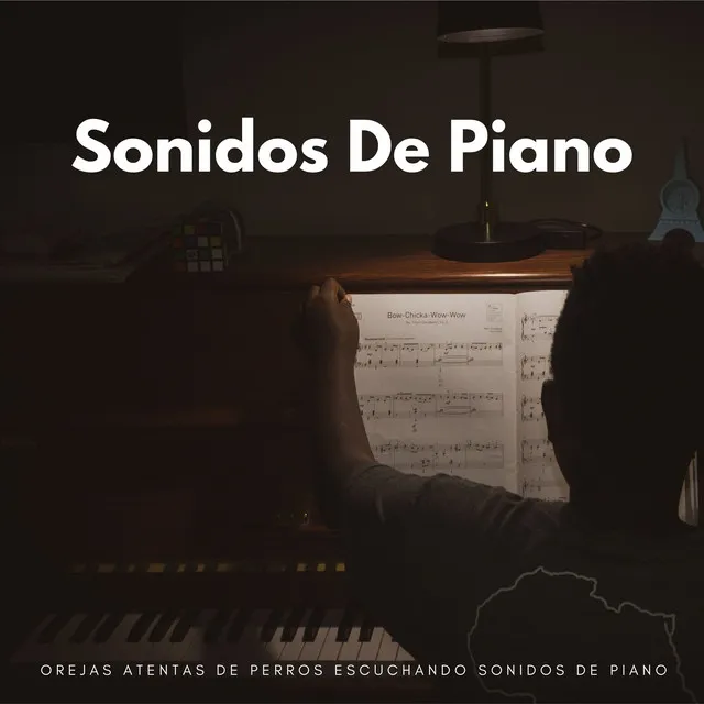 Orejas Atentas De Perros Escuchando Sonidos De Piano