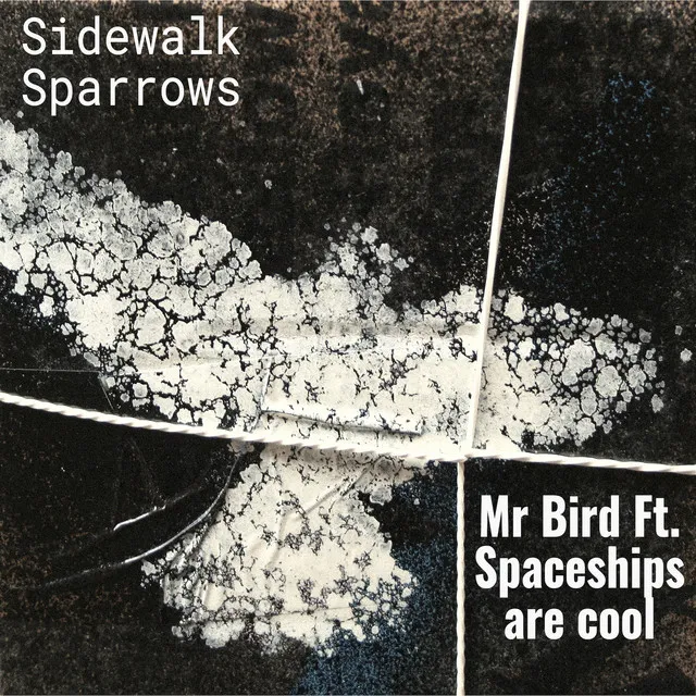 Sidewalk Sparrows