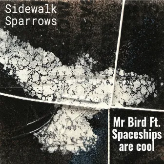 Sidewalk Sparrows by Mr Bird