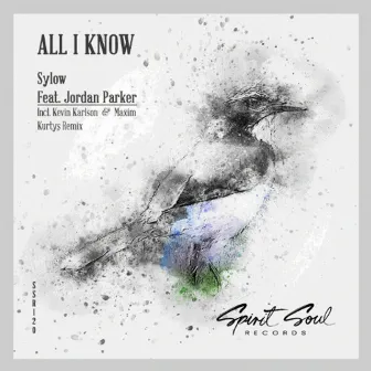 All I Know by Sylow