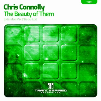 The Beauty Of Them by Chris Connolly