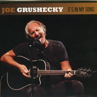 It's in My Song by Joe Grushecky