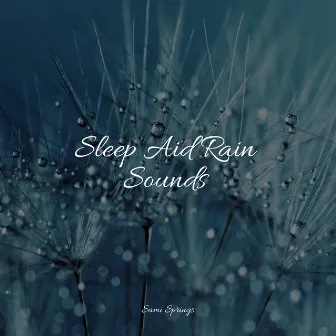 Sleep Aid Rain Sounds by Yoga Sounds