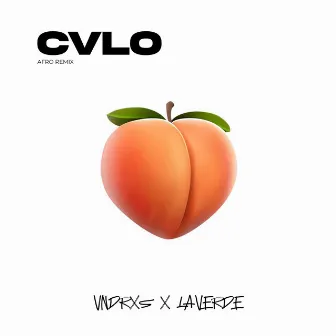 CVLO by VNDRXS