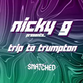 A Trip To Trumpton by Nicky G