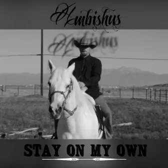 Stay On My Own by Ambishus