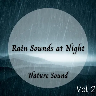 Nature Sound: Rain Sounds at Night Vol. 2 by Nature Field Recordings