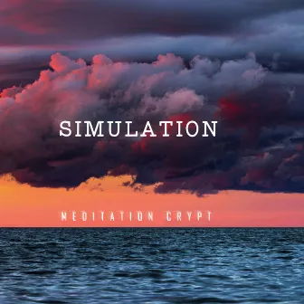 simulation by meditation crypt