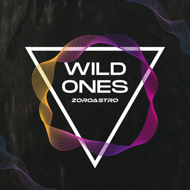 Wild Ones - Radio Edit