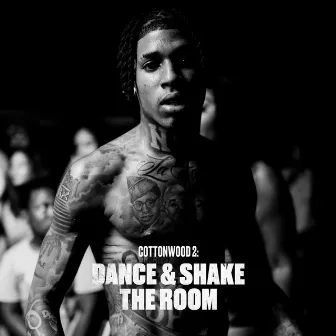 Cottonwood 2: DANCE & SHAKE THE ROOM by NLE Choppa