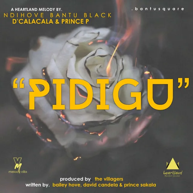 Pidigu