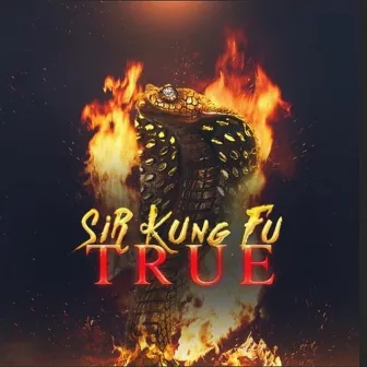 TRUE by Sir Kung-Fu