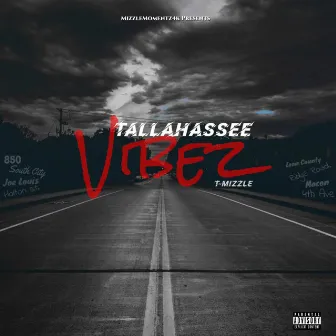 Tallahassee Vibez by T-Mizzle