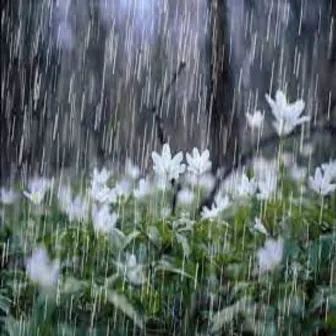 Gentle Rain and Angry Thunder Storms by Warm Noise to Sleep Better