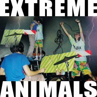 This Music Does Not Apologize: 2002-2008 by Extreme Animals