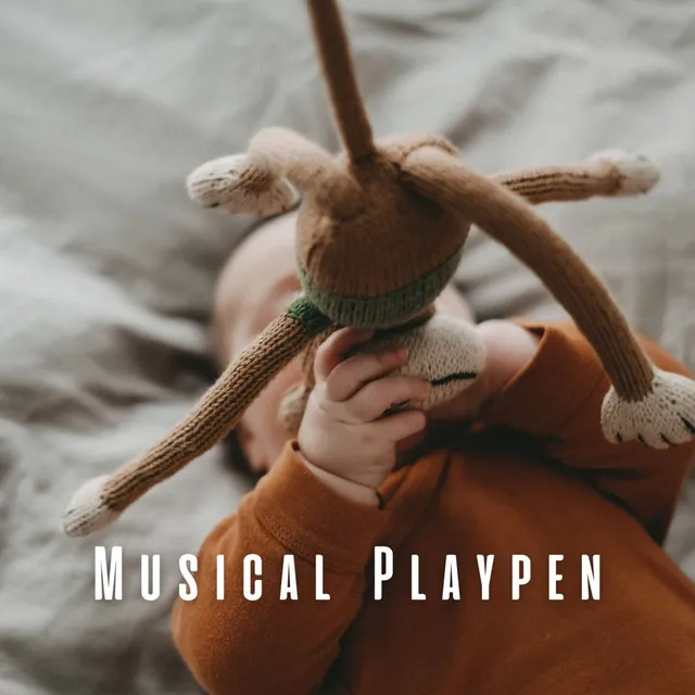 Musical Playpen: Music for Baby's Adventures