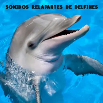 Sonidos Relajantes De Delfines by Sonidos De La Naturaleza