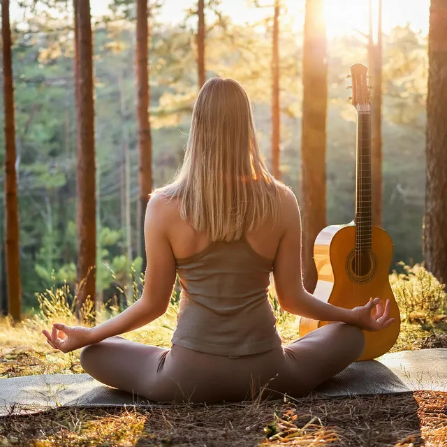 Twilight Meditation: Evening Guitar by the Meadow