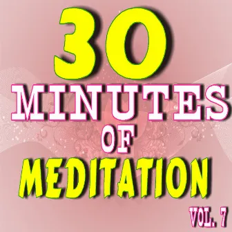 30 Minutes of Meditation, Vol. 7 (Special Edition) by Tim Lewis