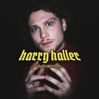 Harry Haller by Kaltenkirchen