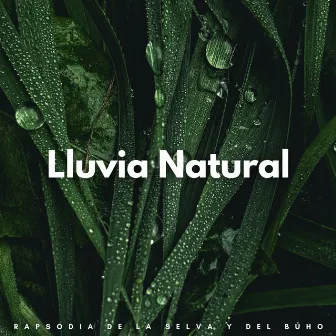 Lluvia Natural: Rapsodia De La Selva Y Del Búho by 