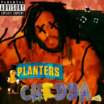 Planters by Chedda