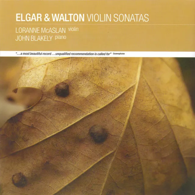 Sonata in E minor for Violin & Piano, Op. 82: 3. Allegro non troppo