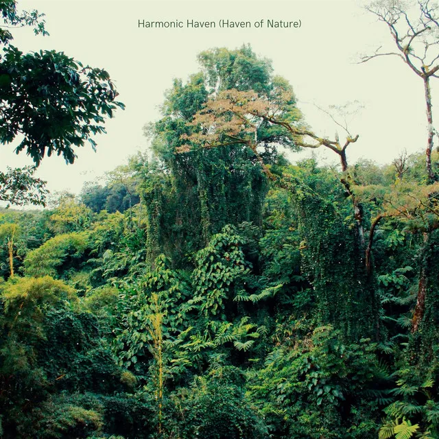 Harmonic Haven (Haven of Nature)