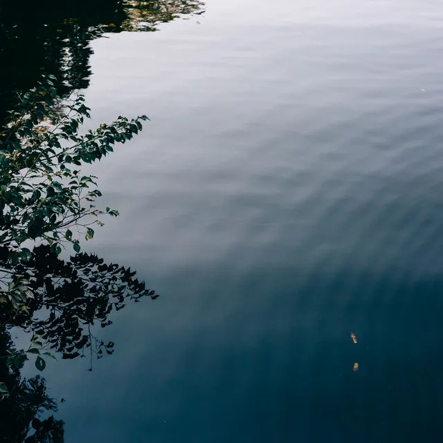 Flowing Rivers in Peaceful Evenings