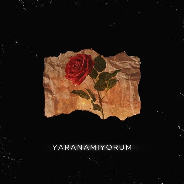 Yaranamıyorum