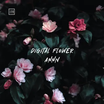 Digital Flower by AnnN