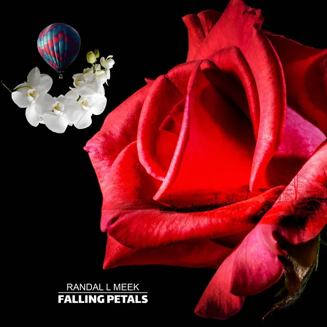 Falling Petals