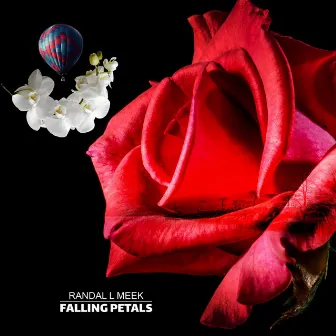 Falling Petals by Randal L Meek