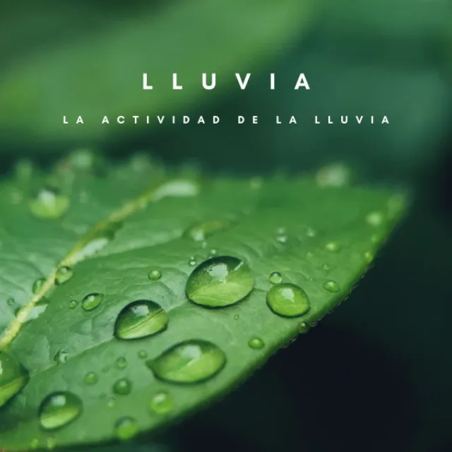 Lluvia: La Actividad De La Lluvia