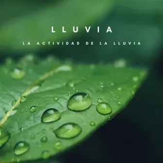 Lluvia: La Actividad De La Lluvia by Sonidos De Lluvia