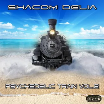 Psychedelic Train vol.2 by Shacom Delia