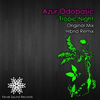 Tropic Night by Azur Odobasic