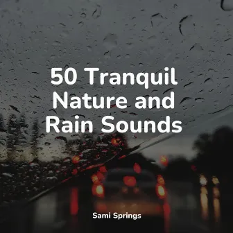 50 Tranquil Nature and Rain Sounds by Tonal Meditation Collective