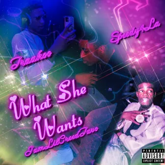 What She Wants by IamLilCREEDTAVO