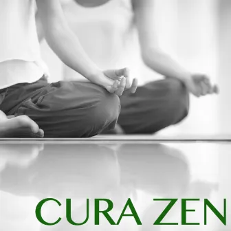 Cura Zen - 30 Canzoni per Imparare a Meditare Mindfulness, Combattere lo Stress by Fede Zen