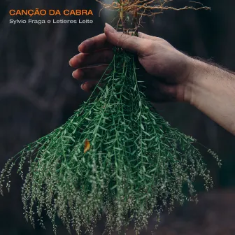 Canção da Cabra by Letieres Leite