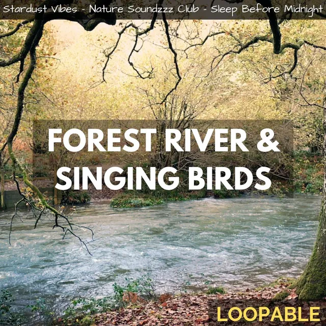 Forest River & Singing Birds (Loopable)